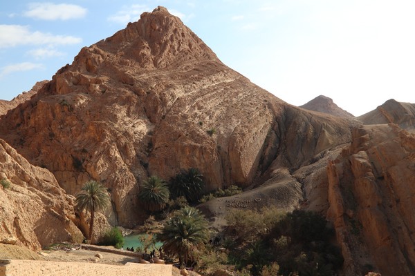 oasis_tunisia